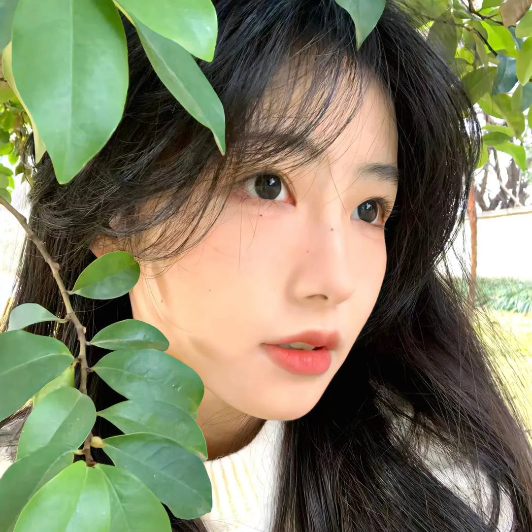 铁拳：血脉